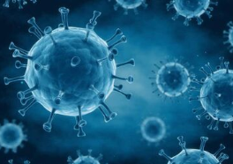 Liečba HIV včelím jedom