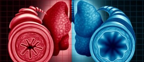 Liečba včelím jedom pri astme