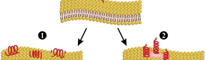 Aktuálne poznatky o včeľom jede a terapii včelím jedom