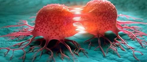 Liečba rakoviny a včelím jedom