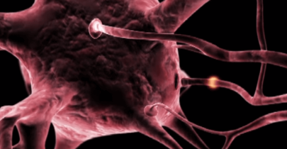 Liečba včelím jedom pri Parkinsonovej chorobe